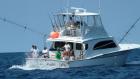 Saltwater Addiction Charters